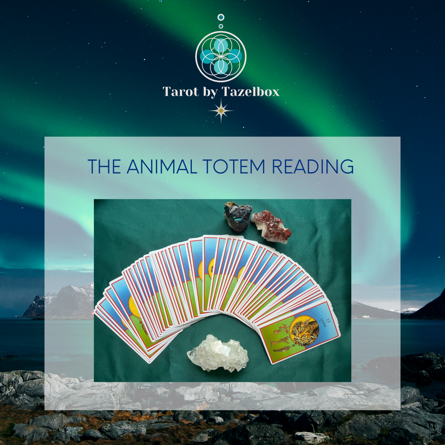 Animal Totem Reading