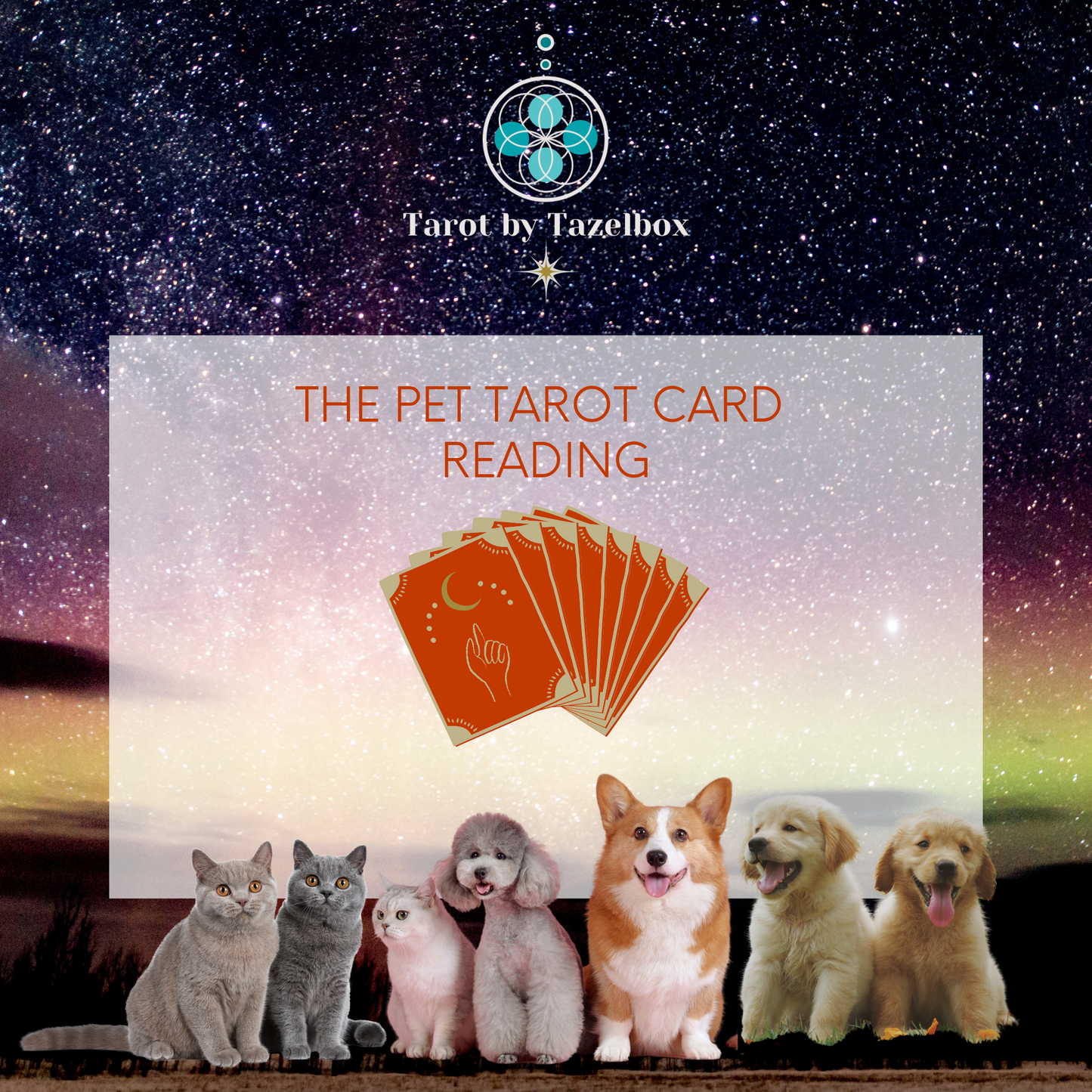 Pet Tarot Card Reading